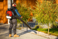 CEDRUS DM05 PRO PROFESSIONAL GARDEN LEAF BLOWER VACUUM CLEANER - OFFICIAL DISTRIBUTOR - AUTHORIZED CEDRUS DEALER