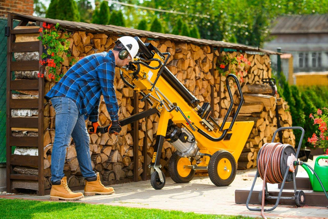 CEDRUS LS10 HYDRAULIC ELECTRIC WOOD SPLITTER CEDRUS CEDLS10V VERTICAL CHIPPER PRESSURE 22 TONS - EWIMAX - OFFICIAL DISTRIBUTOR - AUTHORIZED CEDRUS DEALER