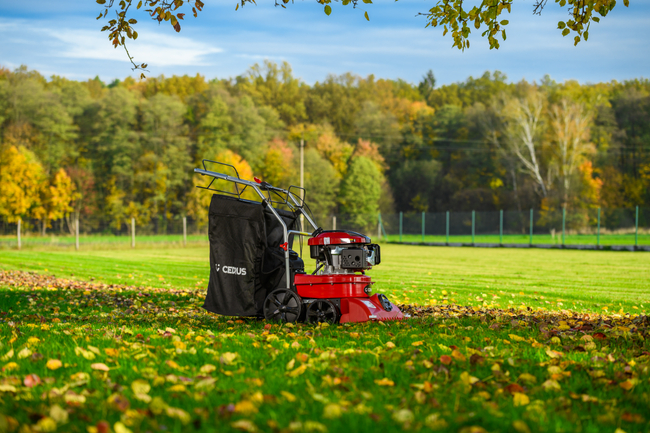 CEDRUS LV58 S PROFESSIONAL CLEANER + 4in1 SPRINEL LEAF VERTICULATOR 4in1 GARDEN DRIVE ROAD DRIVER 2in1 LV58S - OFFICIAL DISTRIBUTOR - AUTHORIZED DEALER CEDRUS