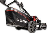 CEDRUS KS53S-E MOTORIZED VINE MOWS WITH DRIVE AND SPRINKLER - 53cm / 5,7 HP - EWIMAX - OFFICIAL DISTRIBUTOR - AUTHORIZED DEALER CEDRUS