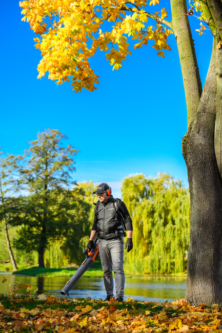 Cedrus BL210-P Dmuchawa akumulatorowa Cedrus 60V BL210-P, bez aku i ładowarki CEDBL210-P