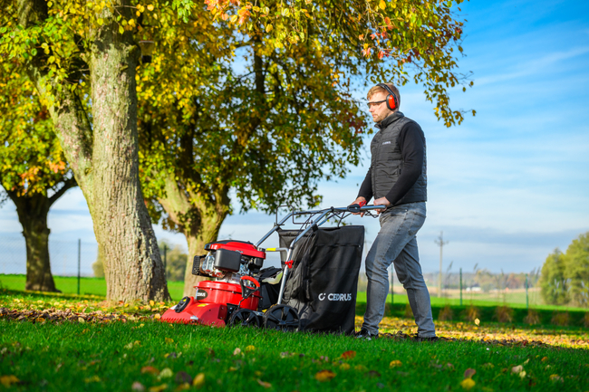 CEDRUS LV58 S PROFESSIONAL CLEANER + 4in1 SPRINEL LEAF VERTICULATOR 4in1 GARDEN DRIVE ROAD DRIVER 2in1 LV58S - OFFICIAL DISTRIBUTOR - AUTHORIZED DEALER CEDRUS