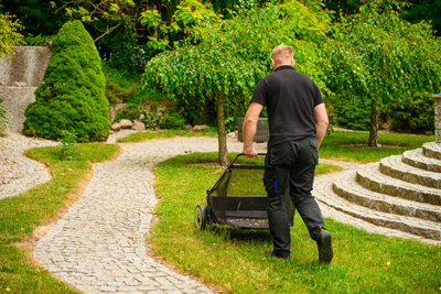 CEDRUS SP31110 grass leaf sweeper with basket 66cm - OFFICIAL DISTRIBUTOR - AUTHORIZED DEALER CEDRUS