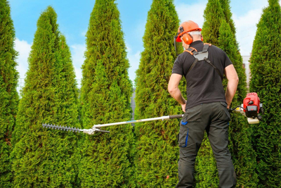 CEDRUS UW520 PETROL LAWN MOWER CHAINSAW PRUNER MULTI-PURPOSE MACHINE TRIMMER MOWER 1.8 KM 