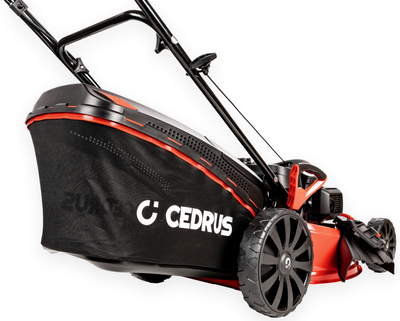 HONDA KOSIARKA SPALINOWA DO TRAWY CEDRUS KS53S-H Z NAPĘDEM HONDA GCVx200 5w1 53cm / 5.6 KM - EWIMAX - OFICJALNY DYSTRYBUTOR - AUTORYZOWANY DEALER CEDRUS