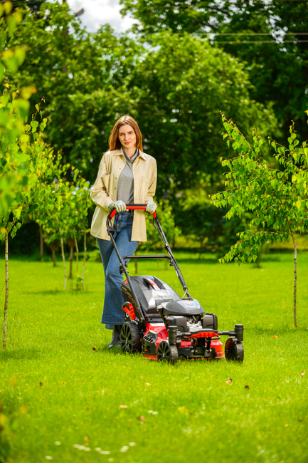 CEDRUS KS51S-H-ZT HONDA KOSIARKA SPALINOWA DO TRAWY Z NAPĘDEM 5w1 51cm / 4.6 KM HONDA GCV170 - EWIMAX - OFICJALNY DYSTRYBUTOR - AUTORYZOWANY DEALER CEDRUS