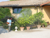 OLEO MAC MB800 TURBÍNOVÝ ZÁDOVÝ POSTŘIKOVAČ 14L 5KM OLEO MB 800 PREMIUM 365280020E1C OFICIÁLNÍ DISTRIBUTOR - AUTORIZOVANÝ PRODEJCE OLEO-MAC