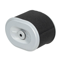 Zongshen 168Fb Gb200 6.5Hp air filter 100004766