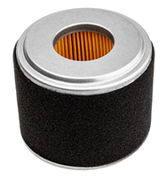 Cedrus scarifier WR01 air filter