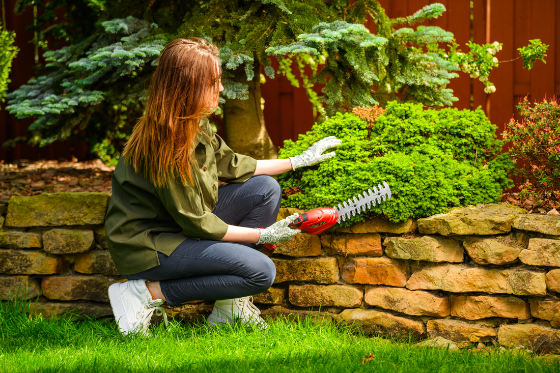 Cedrus CEDGS100LI akcesoria 3w1