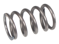 Cedrus Spring for CEDZG210HR-PRO Compactor 541250