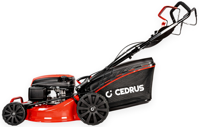 CEDRUS KS48S KOSIARKA SPALINOWA DO TRAWY Z NAPĘDEM 48cm / 4,2 KM - EWIMAX - OFICJALNY DYSTRYBUTOR - AUTORYZOWANY DEALER CEDRUS