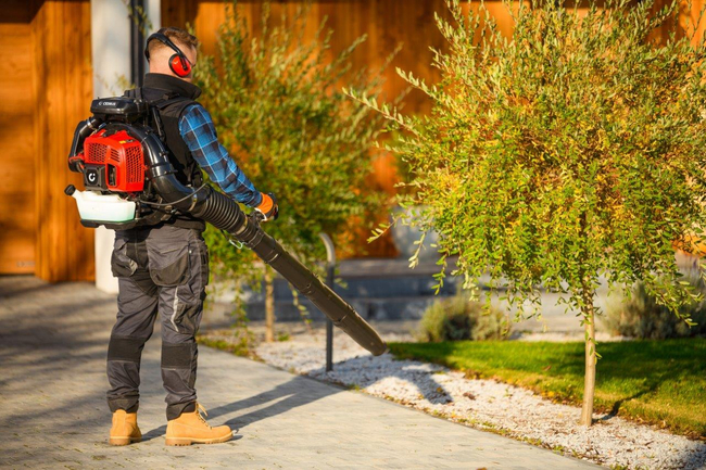 CEDRUS DM05 PRO PROFESSIONAL GARDEN LEAF BLOWER HOOVER - OFICIÁLNÍ DISTRIBUTOR - AUTORIZOVANÝ PRODEJCE CEDRUS