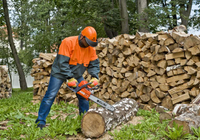 OLEO-MAC GS520 SEMI-PROFESSIONAL SAW CHAIN SAW FOR WOOD 3.7KM 50089022E2A OFFICIAL DISTRIBUTOR - AUTHORIZED OLEO-MAC DEALER