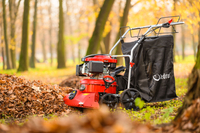 CEDRUS LV58 S PROFESIONÁLNÍ ZAHRADNÍ ČISTIČ LISTŮ 4 v 1 + VERTIKULÁTOR KOLOVÝ POHYBLIVÝ POHON 2v1 LV58S - OFICIÁLNÍ DISTRIBUTOR - AUTORIZOVANÝ PRODEJCE CEDRUS