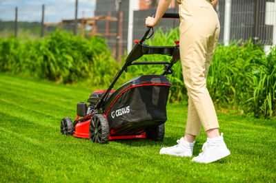 CEDRUS KS53S MOTORIZED SPRINEL MOWER 53cm / 5,7 HP - EWIMAX - OFFICIAL DISTRIBUTOR - AUTHORIZED DEALER CEDRUS