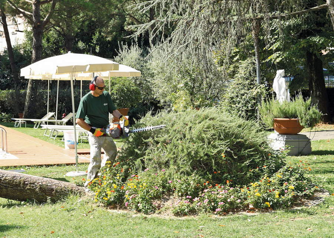 OLEO MAC HC 246 P HEDGE TRIMMER SHRUB SHEAR BUSHES PETROL POWER 1.0 KM PREMIUM CLASS 58099010E2 EWIMAX-OFFICIAL DISTRIBUTOR - AUTHORIZED OLEO-MAC DEALER