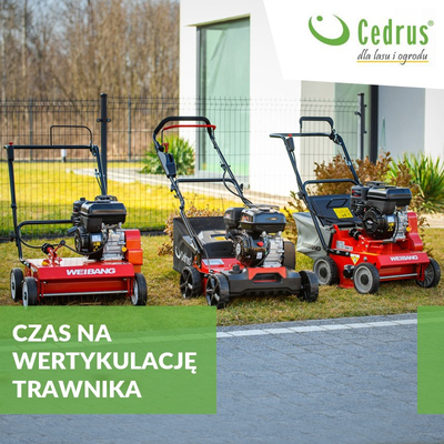 CEDRUS WR02 R DIESEL LAWN SCARIFIER AERATOR 6 KM SWING BLADES - EWIMAX - OFFICIAL DISTRIBUTOR - AUTHORIZED CEDRUS DEALER