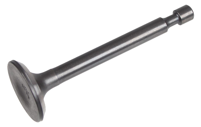 Cedrus engine Y145V 481359 intake/exhaust valve