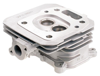 Głowica Cedrus Y196V 480499