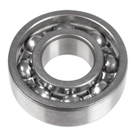 6202 bearing.C3 NZ1001³