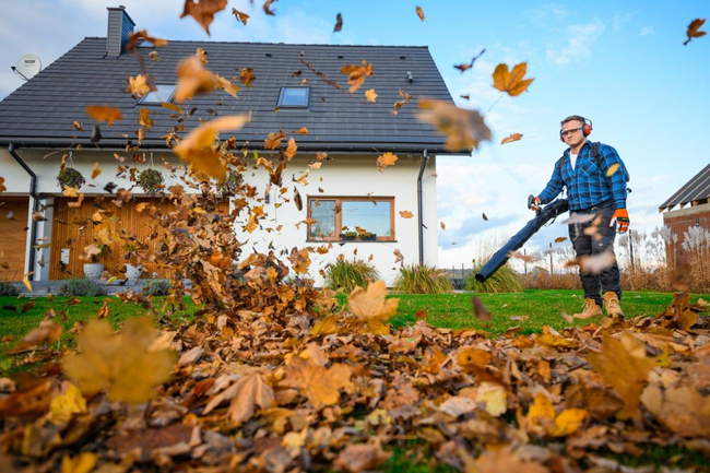 CEDRUS DM05 PRO PROFESSIONAL GARDEN LEAF BLOWER HOOVER - OFICIÁLNÍ DISTRIBUTOR - AUTORIZOVANÝ PRODEJCE CEDRUS