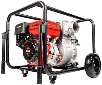 CEDRUS PS100-4 MOTOROVÉ ČERPADLO PRO ČISTOU PRACHOVOU VODU 4" 13 hp 100000 l/h Rato R390 - AUTORIZOVANÝ PRODEJCE CEDRUS