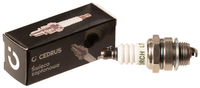 Cedrus L7T spark plug for chainsaws 10 pcs. packaged CEDSW004