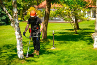 CEDRUS WK520X BENZÍNOVÁ SEKAČKA NA TRÁVU 2 KM EWIMAX - OFICIÁLNÍ DISTRIBUTOR - AUTORIZOVANÝ PRODEJCE CEDRUS