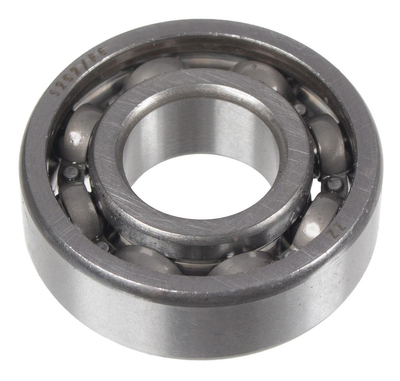 Bearing 6202 Cedrus soil planter GLX540 360720019