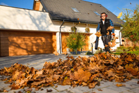 CEDRUS DM05 PRO PROFESSIONAL GARDEN LEAF BLOWER VACUUM CLEANER - OFFICIAL DISTRIBUTOR - AUTHORIZED CEDRUS DEALER