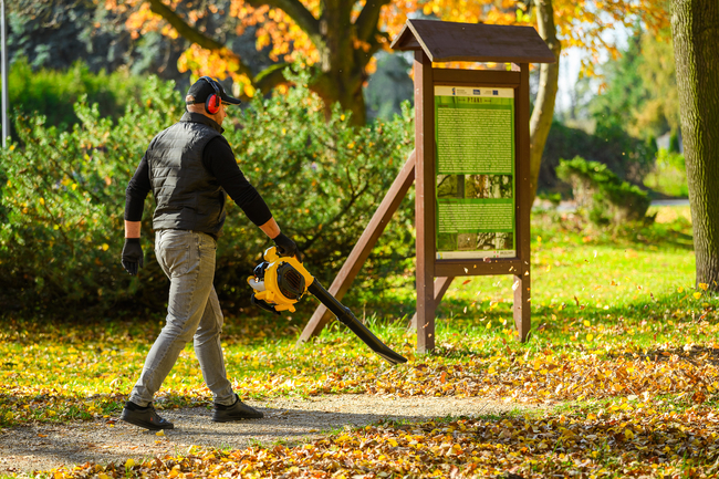 CEDRUS DM03 2-in-1 GARDEN SPRINAL VACUUM CLEANER - OFFICIAL DISTRIBUTOR - AUTHORIZED DEALER CEDRUS