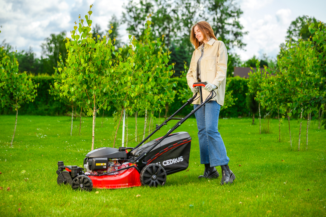 CEDRUS KS51S-H-ZT HONDA 5in1 SPRINELOVÁ SEKAČKA S POHONEM 51cm / 4,6 HP HONDA GCV170 - EWIMAX - Oficialní distributor - autorizovaný prodejce CEDRUS