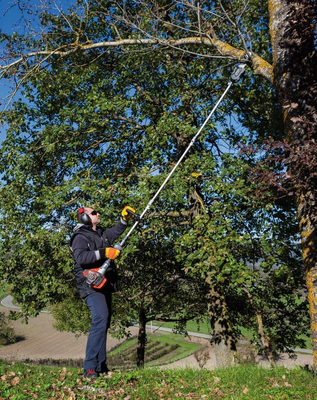 OLEO-MAC PPH250 POLE PRUNING SAW CHAIN SAW POLE PRUNER PPH 250 - OFFICIAL DISTRIBUTOR - AUTHORIZED OLEO MAC DEALER