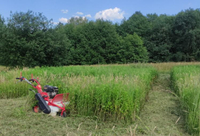 MASTERCUT SG0812A STRUNOVÁ SEKAČKA NA TRÁVU PRO KŘOVÍ ZAHRADA DIESEL 60CM 8KM