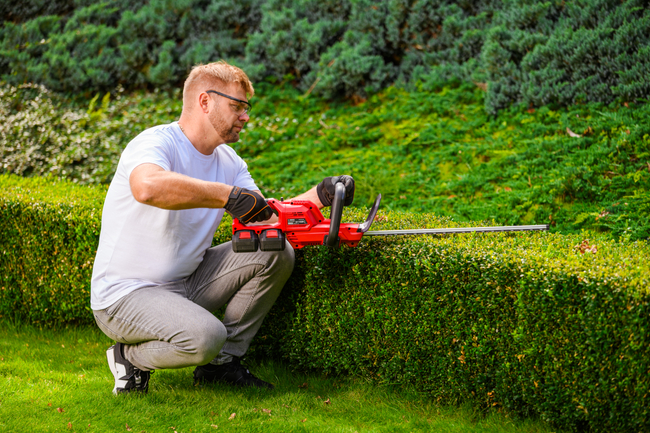 Akumulátorové nůžky Cedrus CEDHT520LIX2 CEDHT520LIX2