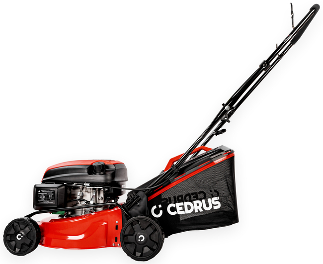 CEDRUS KS42 lawn mower KS 42 cm / 4,2 hp - EWIMAX - OFFICIAL DISTRIBUTOR - AUTHORIZED DEALER CEDRUS