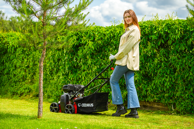 CEDRUS WR01 2v1 5,5 hp SPRINÁLNÍ VERTIKULÁTOR AREATOR 2v1 - EWIMAX - OFICIÁLNÍ DISTRIBUTOR - AUTORIZOVANÝ PRODEJCE CEDRUS