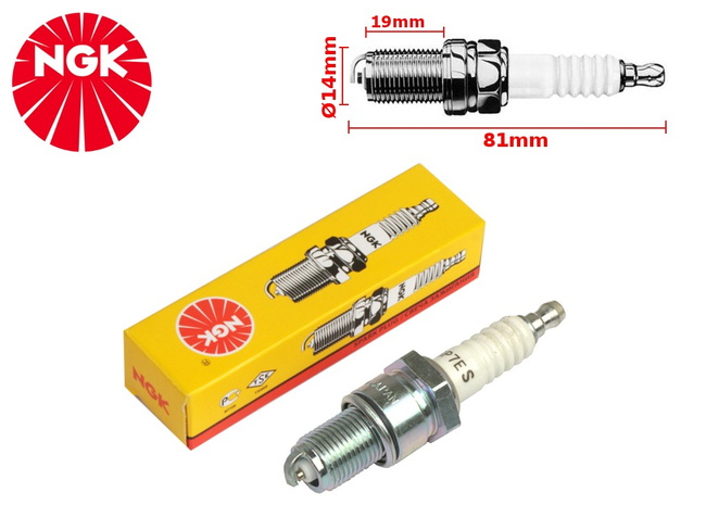 NGK STARPLUG BP7ES 2412 LONCIN - Replacement : Torch F7TC; Champion N7Y; PAL L84; Marelli CW8; Spark FE85P; Beru 14-6DU; Brisk L14YC; Denso W22TT