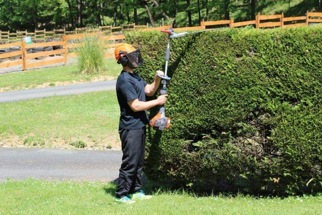 OLEO MAC BC 241 HL POLE PRUNER FOR BUSHES SHRUBS HEDGE SHEARS DIESEL POWER 1.2KM PREMIUM CLASS 61379061E2 EWIMAX -OFFICIAL DISTRIBUTOR - AUTHORIZED OLEO-MAC DEALER