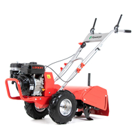 FAWORYT SHT48-200H SPRINIONAL CULTILIZER WITH DRIVE 6.5 HP 48cm