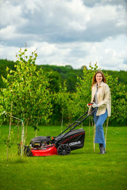 CEDRUS KS51S-H-ZT HONDA KOSIARKA SPALINOWA DO TRAWY Z NAPĘDEM 5w1 51cm / 4.6 KM HONDA GCV170 - EWIMAX - OFICJALNY DYSTRYBUTOR - AUTORYZOWANY DEALER CEDRUS