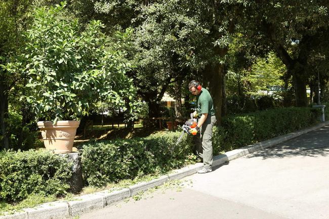 OLEO MAC HC 246 P HEDGE TRIMMER SHRUB SHEAR BUSHES PETROL POWER 1.0 KM PREMIUM CLASS 58099010E2 EWIMAX-OFFICIAL DISTRIBUTOR - AUTHORIZED OLEO-MAC DEALER