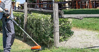 OLEO MAC BC 300 T PETROL GRASS CUTTER PROFESSIONAL TRIMMING TRIMMER POWER 1.7KM PREMIUM CLASS 61289005E2 EWIMAX-OFFICIAL DISTRIBUTOR - AUTHORIZED OLEO-MAC DEALER