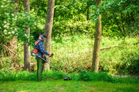 CEDRUS WK330 PETROL GRASS TRIMMER MOWER 1.2 KM EWIMAX-OFFICIAL DISTRIBUTOR - AUTHORIZED CEDRUS DEALER