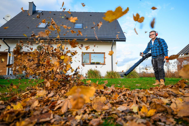 CEDRUS DM05 PRO PROFESSIONAL GARDEN LEAF BLOWER HOOVER - OFICIÁLNÍ DISTRIBUTOR - AUTORIZOVANÝ PRODEJCE CEDRUS