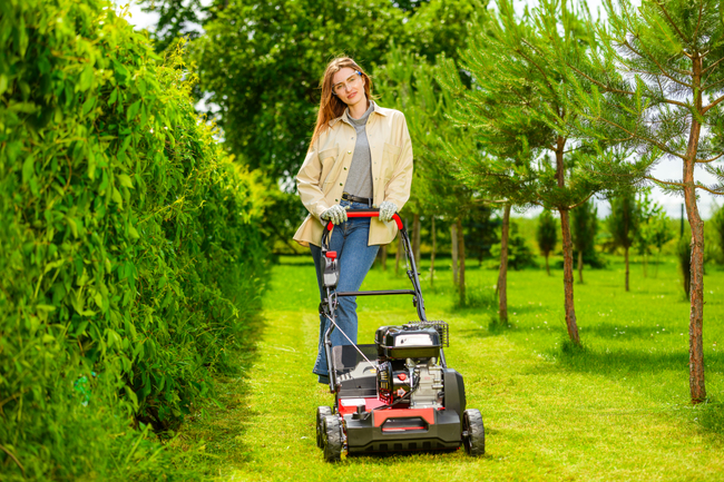 CEDRUS WR01 2v1 5,5 hp SPRINÁLNÍ VERTIKULÁTOR AREATOR 2v1 - EWIMAX - OFICIÁLNÍ DISTRIBUTOR - AUTORIZOVANÝ PRODEJCE CEDRUS