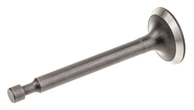 Cedrus Y139V intake valve 480368