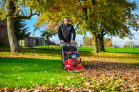 CEDRUS LV58 S PROFESSIONAL CLEANER + 4in1 SPRINEL LEAF VERTICULATOR 4in1 GARDEN DRIVE ROAD DRIVER 2in1 LV58S - OFFICIAL DISTRIBUTOR - AUTHORIZED DEALER CEDRUS