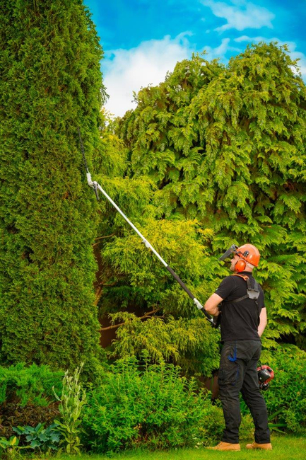 CEDRUS UW520 PETROL LAWN MOWER CHAINSAW PRUNER MULTI-PURPOSE MACHINE TRIMMER MOWER 1.8 KM 